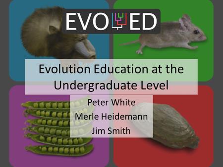 Evolution Education at the Undergraduate Level Peter White Merle Heidemann Jim Smith.