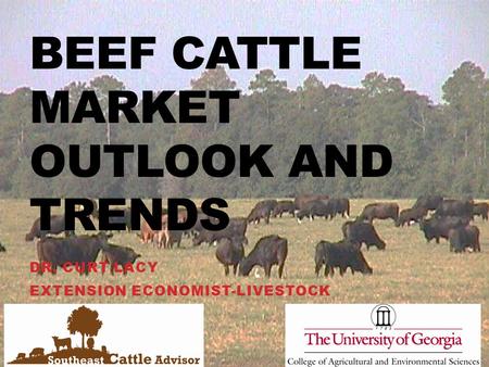 BEEF CATTLE MARKET OUTLOOK AND TRENDS DR. CURT LACY EXTENSION ECONOMIST-LIVESTOCK.