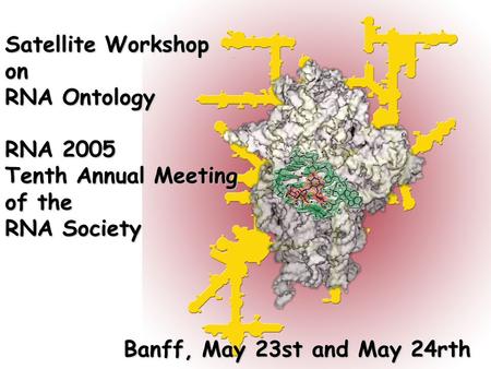 Satellite Workshop on RNA Ontology RNA 2005 Tenth Annual Meeting of the RNA Society Banff, May 23st and May 24rth.