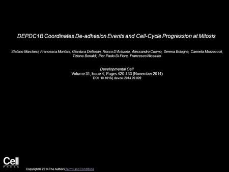 DEPDC1B Coordinates De-adhesion Events and Cell-Cycle Progression at Mitosis Stefano Marchesi, Francesca Montani, Gianluca Deflorian, Rocco D’Antuono,