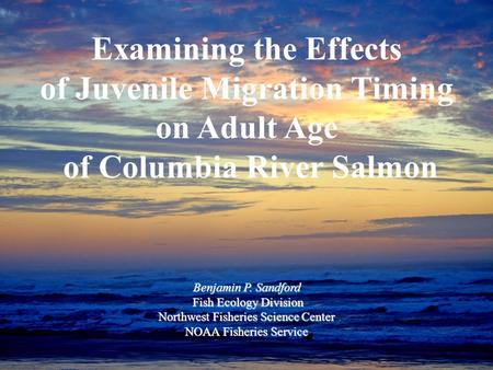 Examining the Effects of Juvenile Migration Timing on Adult Age of Columbia River Salmon Benjamin P. Sandford Fish Ecology Division Fish Ecology Division.