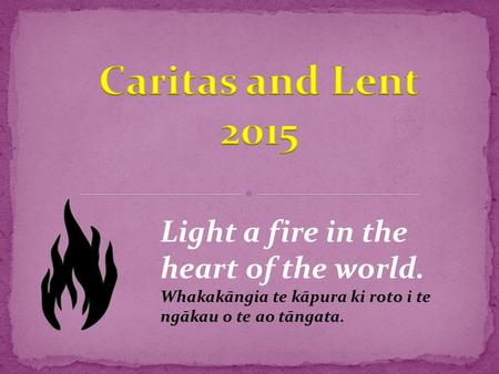 Light a fire in the heart of the world. Whakakāngia te kāpura ki roto i te ngākau o te ao tāngata.