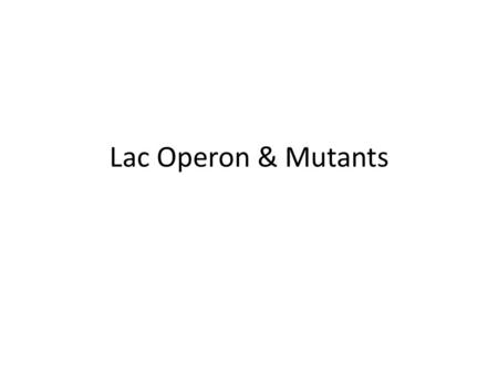 Lac Operon & Mutants. lac Operon lacZlacYlacAoCAPplacI β-galactosidase, 3.1 kb mRNA, 120 kD (1)glc-gal  glc + gal (2)β-1-4 lactose  β-1-4 allolactose.