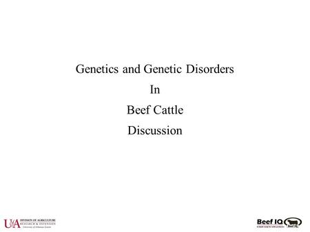 Genetics and Genetic Disorders In Beef Cattle Discussion.