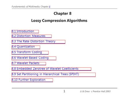Lossy Compression Algorithms