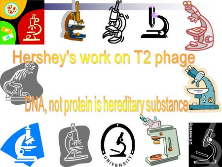 Alfred Day Hershey His best known experiment is Hershey Chase experiment Concerned the replication of genetic structure of viruses 4 Dec. 1908--- 22.