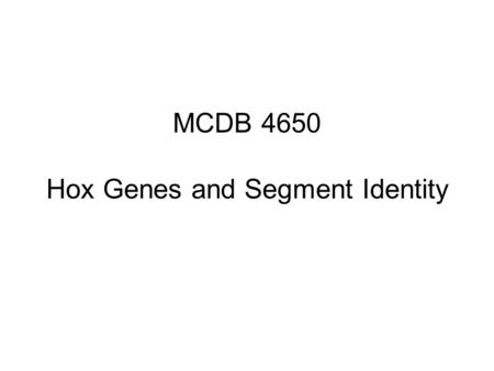 MCDB 4650 Hox Genes and Segment Identity. What establishes the initial anterior boundary of each Hox gene? a) combinations of gap gene products b) combinations.