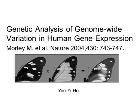 Genetic Analysis of Genome-wide Variation in Human Gene Expression Morley M. et al. Nature 2004,430: 743-747. Yen-Yi Ho.