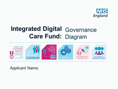 Integrated Digital Care Fund: Applicant Name: Governance Diagram.