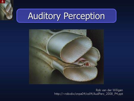 Rob van der Willigen  Auditory Perception.