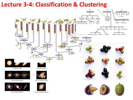 Lecture 3-4: Classification & Clustering