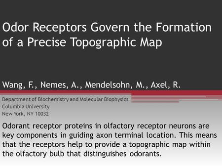 Odor Receptors Govern the Formation of a Precise Topographic Map Department of Biochemistry and Molecular Biophysics Columbia University New York, NY 10032.