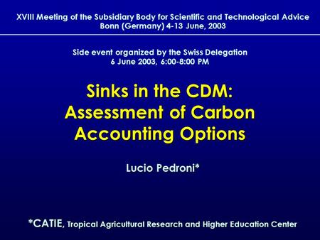 1 Sinks in the CDM: Assessment of Carbon Accounting Options XVIII Meeting of the Subsidiary Body for Scientific and Technological Advice Bonn (Germany)