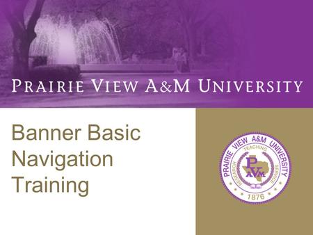 Banner Basic Navigation Training. Topics Navigation Forms Data Entry Standards Help Searching in Banner.