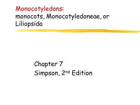 Monocotyledons: monocots, Monocotyledoneae, or Liliopsida