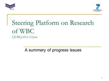 1 Steering Platform on Research of WBC LJUBLJANA 13 June A summery of progress issues.