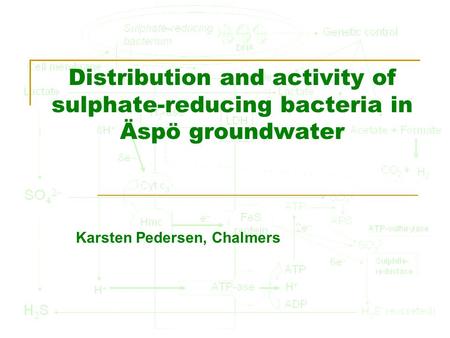 Distribution and activity of sulphate-reducing bacteria in Äspö groundwater Karsten Pedersen, Chalmers.