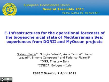 ESSI2 - 7 April 2011 E-Infrastructures for the operational forecasts of the biogeochemical state of Mediterranean Sea: experiences from DORII and MyOcean.