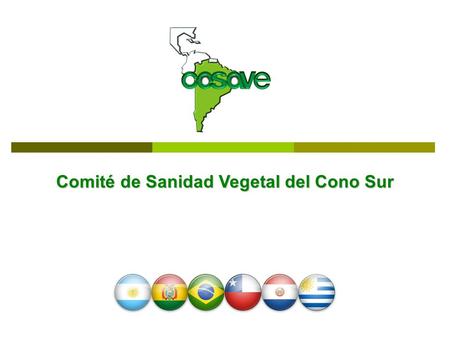 Comité de Sanidad Vegetal del Cono Sur. New President and Secretariat Coordination President of COSAVE Agr. Eng. Diego Quiroga - since March 2010 Secretary.