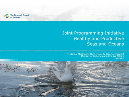 Joint Programming Initiative Healthy and Productive Seas and Oceans Christina Abildgaard Ph.D., Deputy Director General Ministry of Fisheries and Coastal.