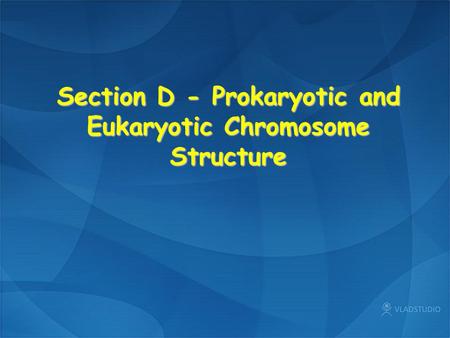 Section D - Prokaryotic and Eukaryotic Chromosome Structure