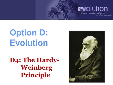 Option D: Evolution D4: The Hardy- Weinberg Principle.