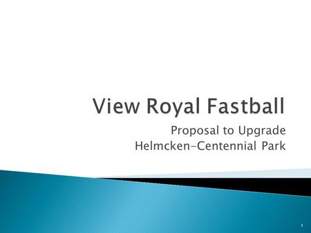 Proposal to Upgrade Helmcken-Centennial Park