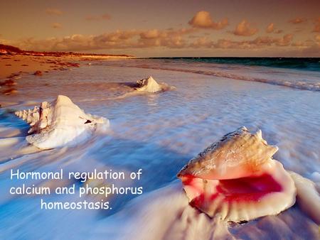Hormonal regulation of calcium and phosphorus homeostasis.