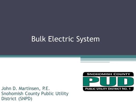 Bulk Electric System John D. Martinsen, P.E.