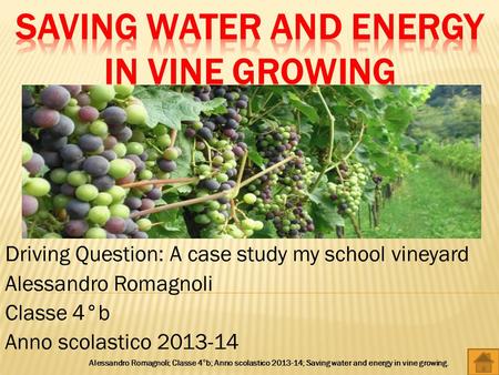 Driving Question: A case study my school vineyard Alessandro Romagnoli Classe 4°b Anno scolastico 2013-14 Alessandro Romagnoli; Classe 4°b; Anno scolastico.