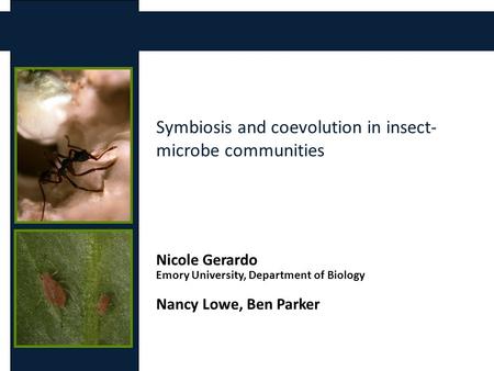 Symbiosis and coevolution in insect- microbe communities Nicole Gerardo Emory University, Department of Biology Nancy Lowe, Ben Parker.