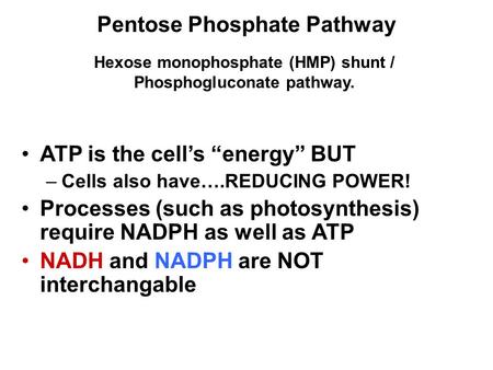 ATP is the cell’s “energy” BUT –Cells also have….REDUCING POWER! Processes (such as photosynthesis) require NADPH as well as ATP NADH and NADPH are NOT.