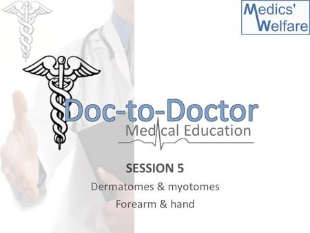 SESSION 5 Dermatomes & myotomes Forearm & hand