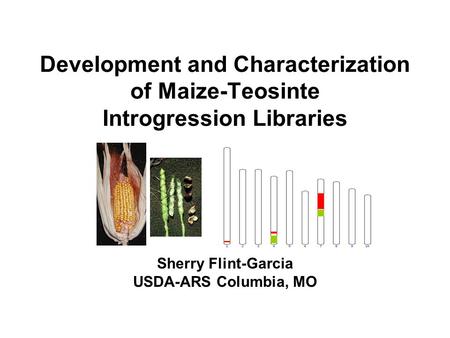 Sherry Flint-Garcia USDA-ARS Columbia, MO