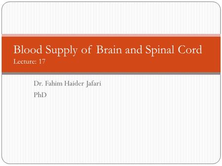 Blood Supply of Brain and Spinal Cord Lecture: 17