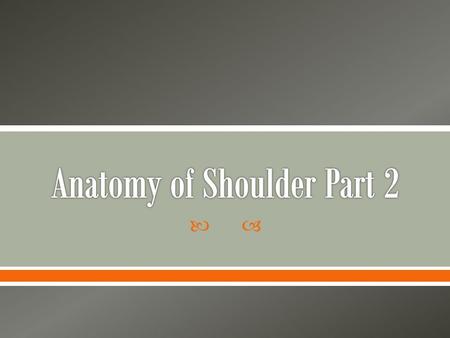Anatomy of Shoulder Part 2