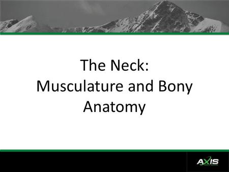 The Neck: Musculature and Bony Anatomy