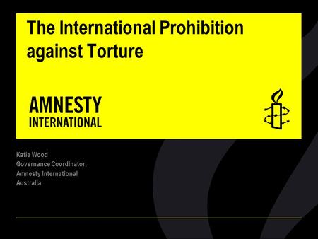 The International Prohibition against Torture