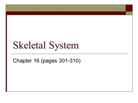 Skeletal System Chapter 16 (pages 301-310).