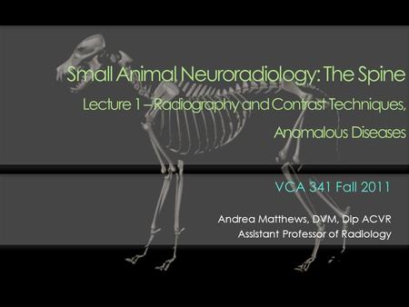 Small Animal Neuroradiology: The Spine Lecture 1 – Radiography and Contrast Techniques, Anomalous Diseases VCA 341 Fall 2011 Andrea Matthews, DVM, Dip.