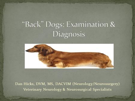 Dan Hicks, DVM, MS, DACVIM (Neurology/Neurosurgery) Veterinary Neurology & Neurosurgical Specialists.