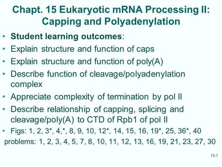 Chapt. 15 Eukaryotic mRNA Processing II: Capping and Polyadenylation Student learning outcomes: Explain structure and function of caps Explain structure.