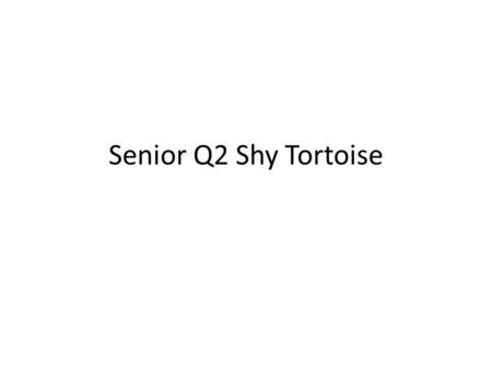 Senior Q2 Shy Tortoise. Sample >>> >  > >> 13431.
