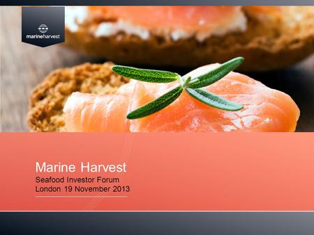 Marine Harvest Seafood Investor Forum London 19 November 2013.