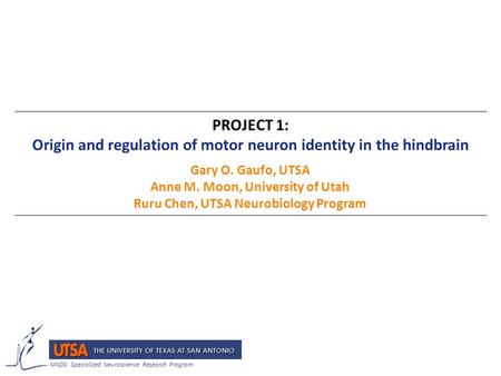 PROJECT 1: Origin and regulation of motor neuron identity in the hindbrain Gary O. Gaufo, UTSA Anne M. Moon, University of Utah Ruru Chen, UTSA Neurobiology.