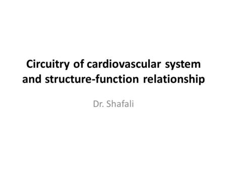 Circuitry of cardiovascular system and structure-function relationship