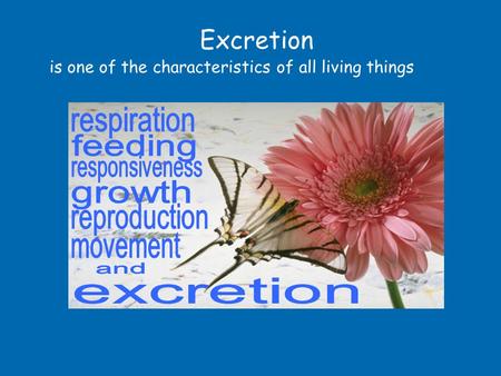 Excretion respiration feeding responsiveness growth reproduction