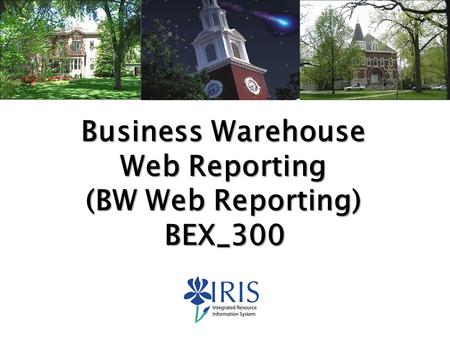Web Reporting (BW Web Reporting)