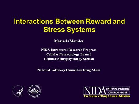 Interactions Between Reward and Stress Systems