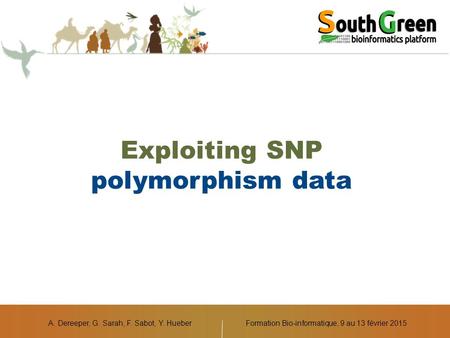 A. Dereeper, G. Sarah, F. Sabot, Y. Hueber Exploiting SNP polymorphism data Formation Bio-informatique, 9 au 13 février 2015.
